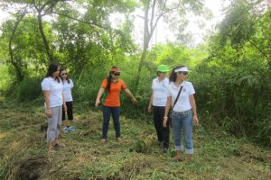 tree planting-2